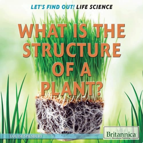What Is the Structure of a Plant?