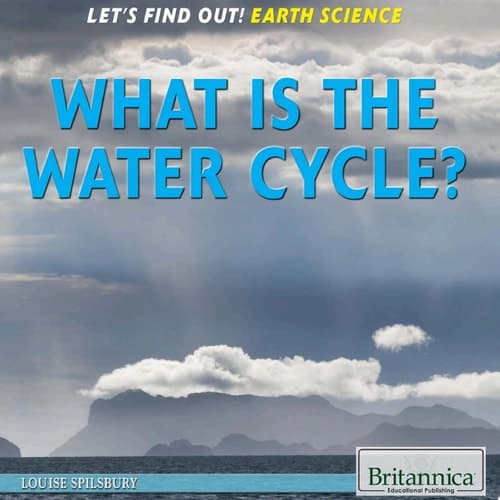 What Is the Water Cycle?