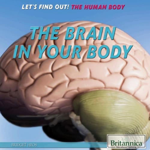 The Brain in Your Body