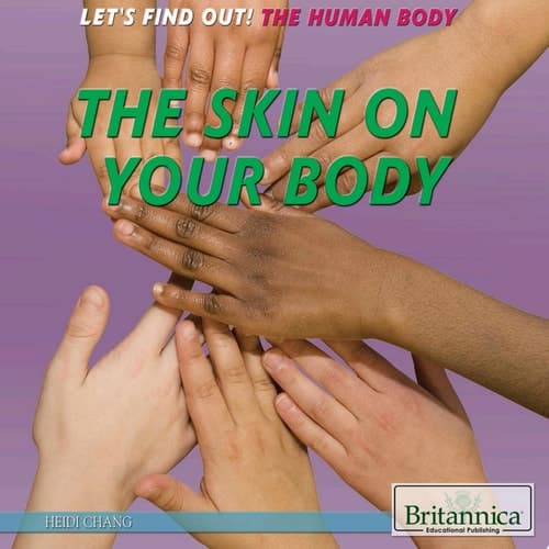 The Skin on Your Body