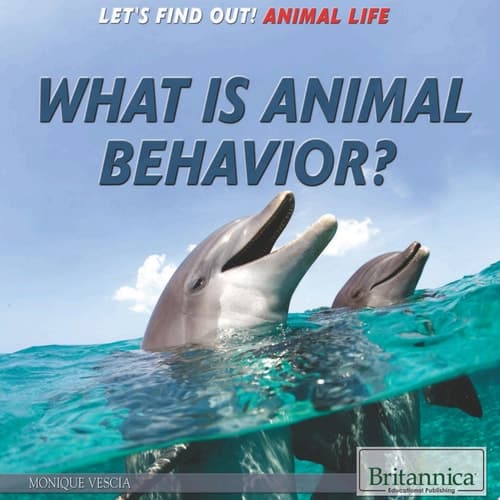What Is Animal Behavior?