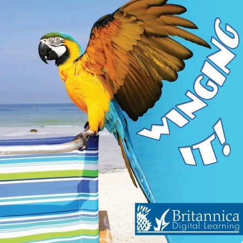 Winging It!
