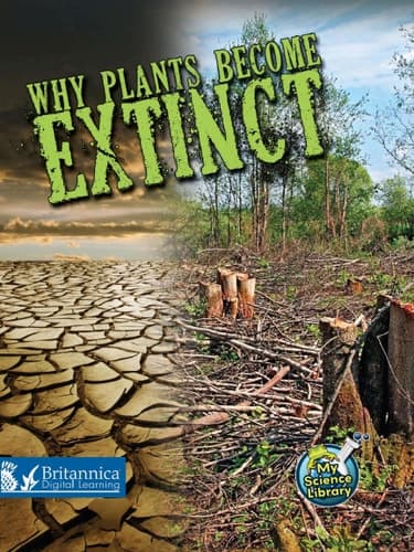 Why Plants Become Extinct