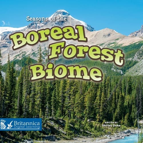 Seasons of the Boreal Forest Biome