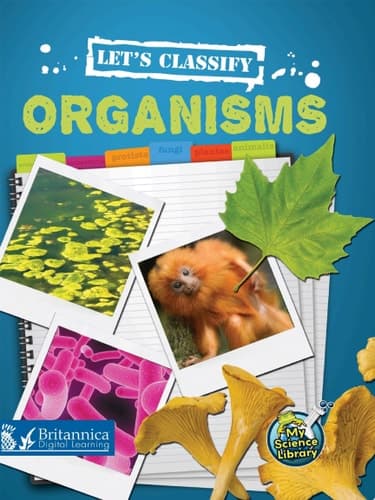 Let's Classify Organisms