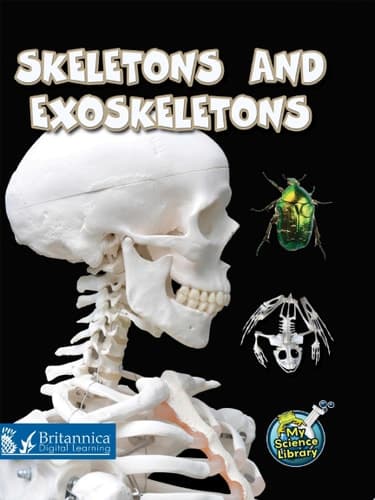 Skeletons and Exoskeletons