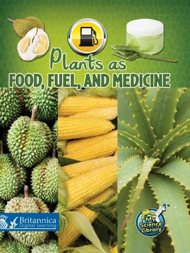 Plants as Food, Fuel, and Medicine