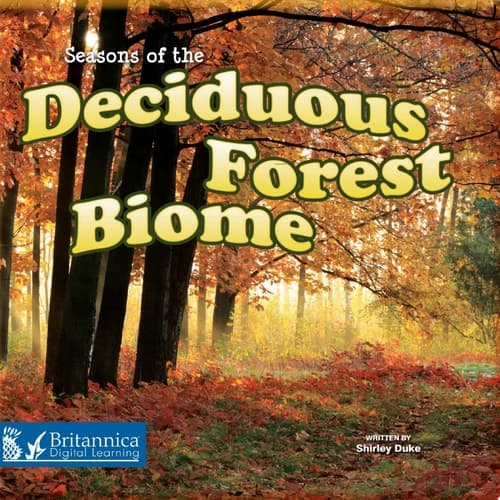 Seasons of the Decidous Forest Biome