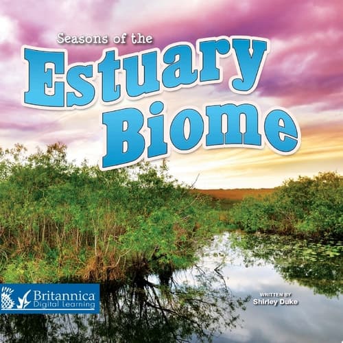 Seasons of the Estuary Biome