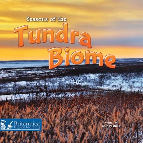 Seasons of the Tundra Biome