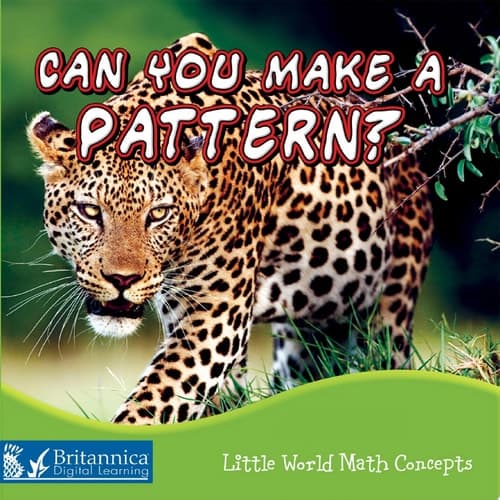 Can You Make a Pattern?