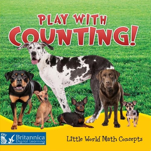 Play with Counting!