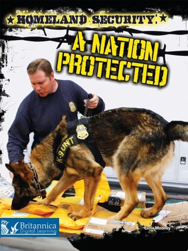 Homeland Security: A Nation Protected