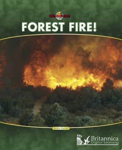 Forest Fire!