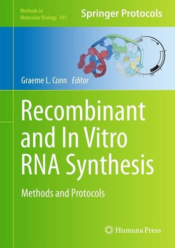 Recombinant and In Vitro RNA Synthesis Methods and Protocols