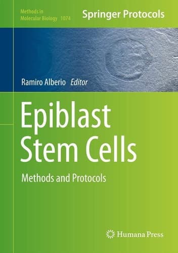 Epiblast Stem Cells Methods and Protocols