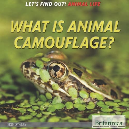 What Is Animal Camouflage?