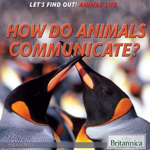 How Do Animals Communicate?