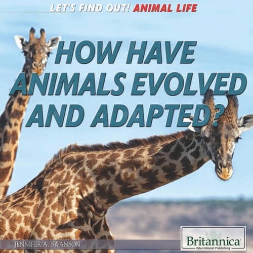 How Have Animals Evolved and Adapted?