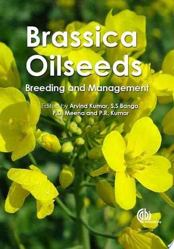 Brassica Oilseeds Breeding and Management