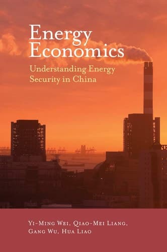Energy Economics Understanding Energy Security in China