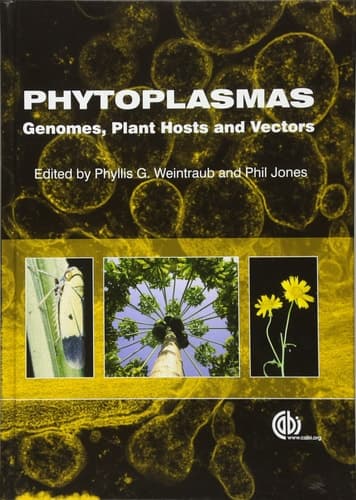Phytoplasmas Genomes, Plant Hosts and Vectors