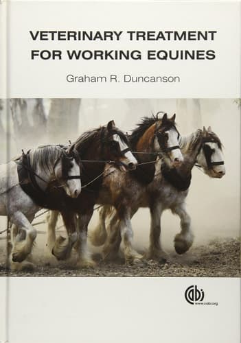 Veterinary Treatment for Working Equines