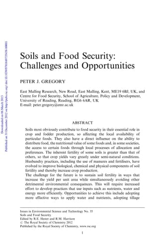 Soils and Food Security