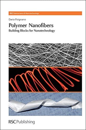 Polymer Nanofibers Building Blocks for Nanotechnology