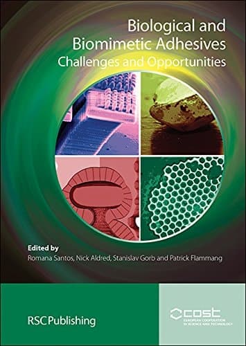Biological and Biomimetic Adhesives Challenges and Opportunities