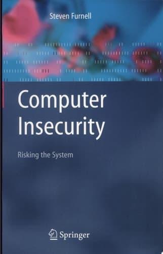 Computer Insecurity Risking the System