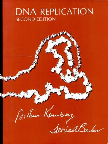 DNA Replication