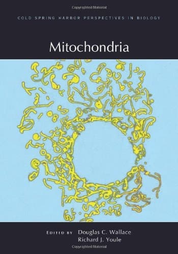Mitochondria