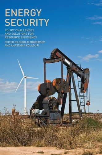 Energy Security Policy Challenges and Solutions for Resource Efficiency
