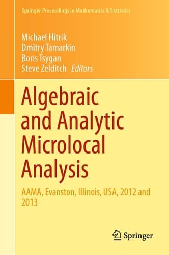 Algebraic and Analytic Microlocal Analysis AAMA, Evanston, Illinois, USA, 2012 and 2013