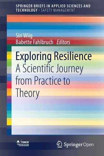 Exploring Resilience A Scientific Journey from Practice to Theory