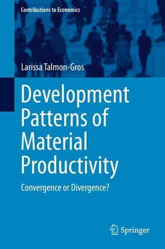 Development Patterns of Material Productivity Convergence or Divergence?