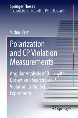 Polarization and CP Violation Measurements Angular Analysis of B -> ?K* Decays and Search for CP Violation at the Belle Experiment