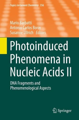 Photoinduced Phenomena in Nucleic Acids II DNA Fragments and Phenomenological Aspects