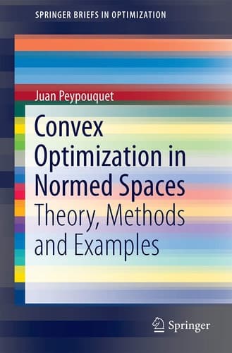 Convex Optimization in Normed Spaces Theory, Methods and Examples