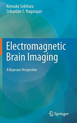 Electromagnetic Brain Imaging A Bayesian Perspective