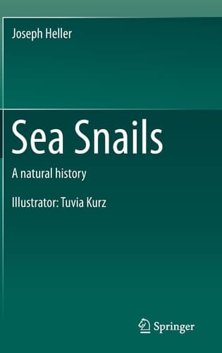 Sea Snails A natural history