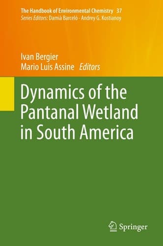 Dynamics of the Pantanal Wetland in South America