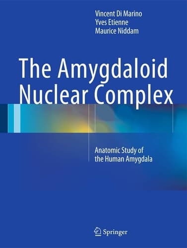 The Amygdaloid Nuclear Complex Anatomic Study of the Human Amygdala