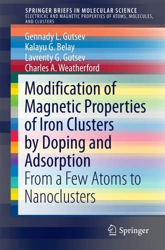 Modification of Magnetic Properties of Iron Clusters by Doping and Adsorption From a Few Atoms to Nanoclusters