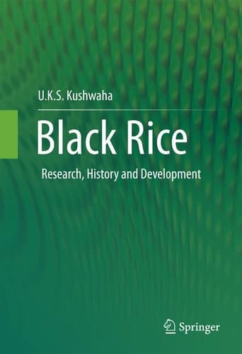 Black Rice Research, History and Development