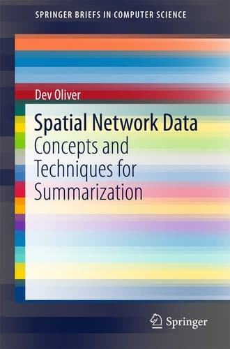Spatial Network Data Concepts and Techniques for Summarization