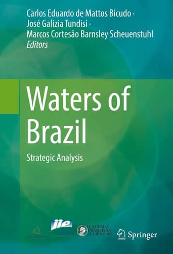 Waters of Brazil Strategic Analysis