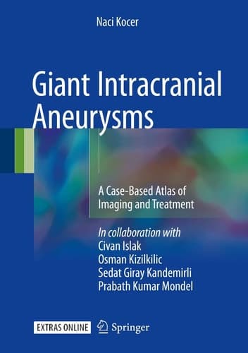 Giant Intracranial Aneurysms A Case-Based Atlas of Imaging and Treatment