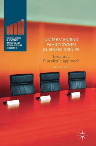 Understanding Family-Owned Business Groups Towards a Pluralistic Approach